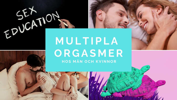 multipla orgasmer omslag